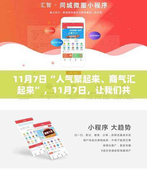 11月7日,开启自信与成就的新篇章,人气商气汇聚日