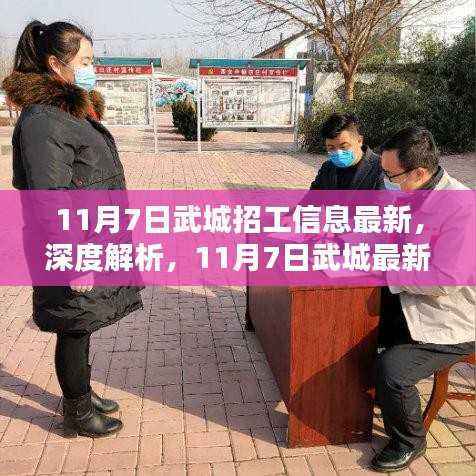 11月7日武城招工信息深度解析与最新概览