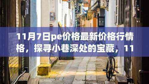 11月7日PE价格行情下的独特小店探寻记,小巷深处的宝藏揭秘