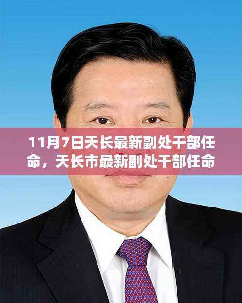 天长市最新副处干部任命详解,从准备到完成的步骤揭秘
