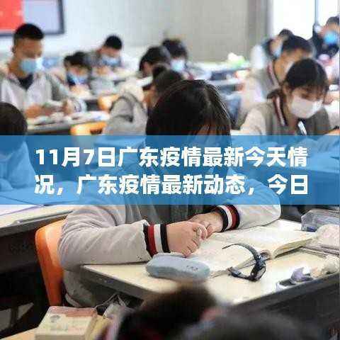 广东疫情最新动态深度观察，11月7日深度分析与影响