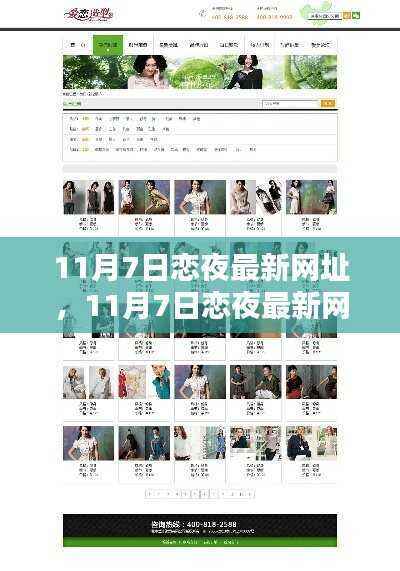 11月7日恋夜最新网址大全,全面评测与详细介绍