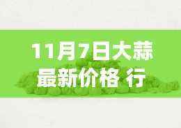 大蒜最新行情揭秘，价格背后的暖心故事与秘密