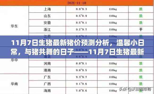 与猪共舞的日子,揭秘最新猪价预测背后的故事