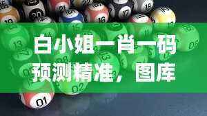白小姐一肖一码预测精准,图库动态解析_自在版LFG890.71