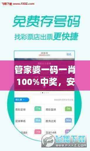 管家婆一码一肖100%中奖,安全解析策略_自助版FZV845.25