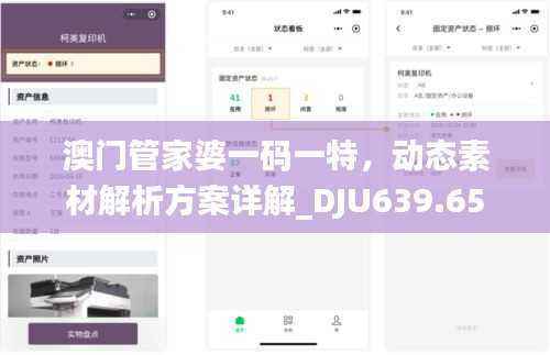 澳门管家婆一码一特,动态素材解析方案详解_DJU639.65