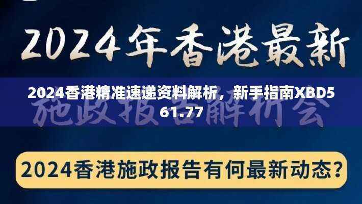 2024香港精准速递资料解析,新手指南XBD561.77