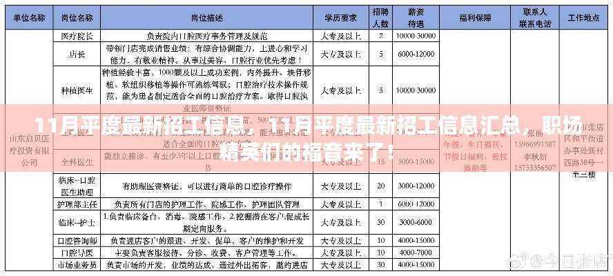 11月平度最新招工信息汇总，职场精英们的求职福音