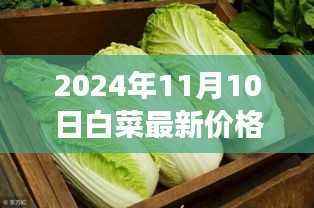 2024年11月10日白菜最新价格全面评测,品质、竞争及用户洞察