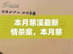 慈溪最新情杀案深度解析,情感纠葛与法律盲点探究