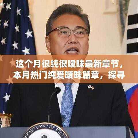 本月热门纯爱暧昧篇章,探寻情感世界的微妙交织