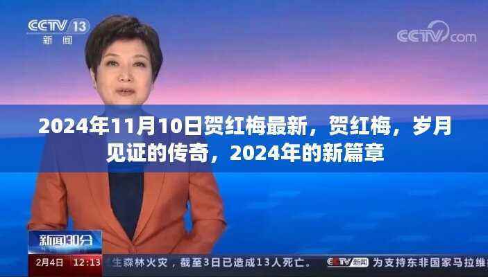 贺红梅,岁月传奇的新篇章,2024年11月10日最新动态