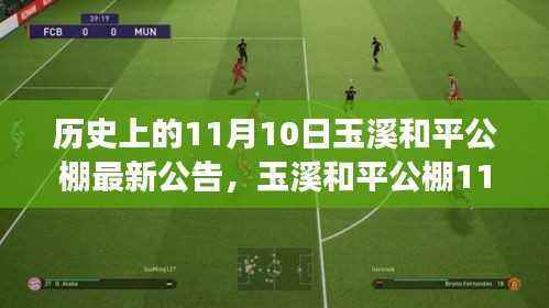 玉溪和平公棚公告背后的友情、陪伴与爱的传递——温馨故事揭晓日（11月10日）