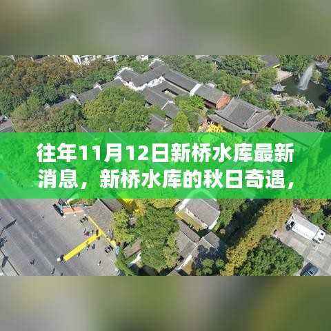 新桥水库秋日奇遇,友情、家庭与温馨的瞬间(最新消息)