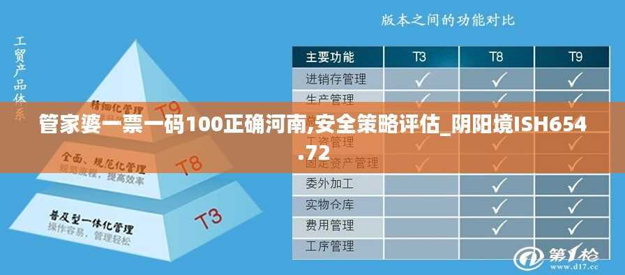 管家婆一票一码100正确河南,安全策略评估_阴阳境ISH654.72
