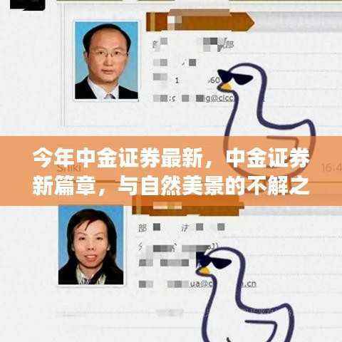 中金证券新篇章,与自然美景的缘份与内心平和之旅