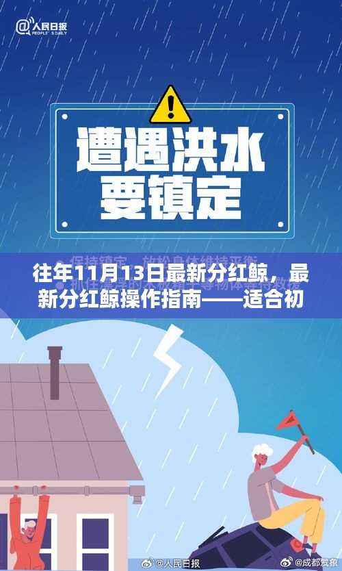 最新分红鲸操作指南,适合初学者与进阶用户的详细步骤及历年分红回顾
