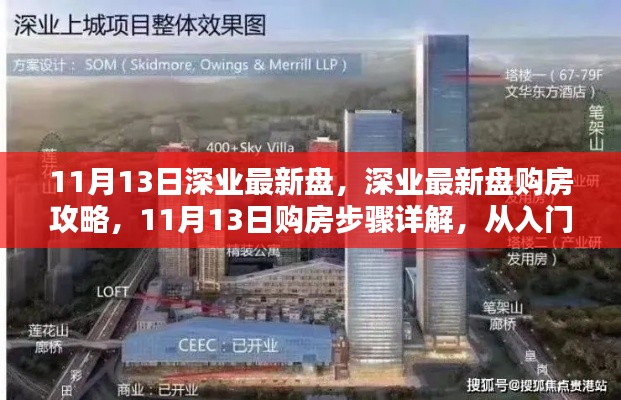 11月13日深业最新盘购房指南,从入门到精通的购房攻略与步骤详解