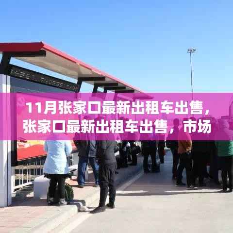 张家口最新出租车市场动态,出售信息、市场背景与重大事件分析