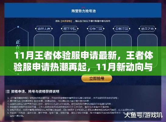 王者体验服申请热潮再起,11月新动向与领域地位重塑