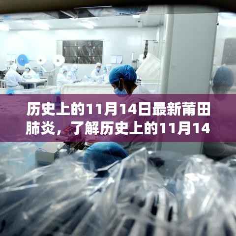 历史上的11月14日莆田肺炎事件详解,步骤指南与事件回顾