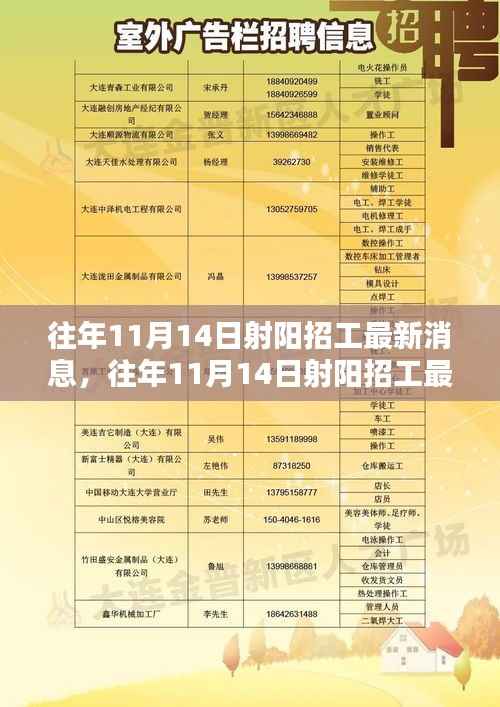 往年11月14日射阳招工最新消息深度探寻与求职平台特性体验评测