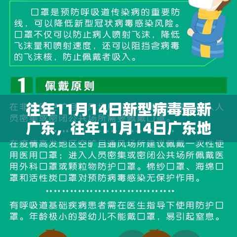 往年11月14日广东地区新型病毒深度评测与介绍,最新产品与动态分析