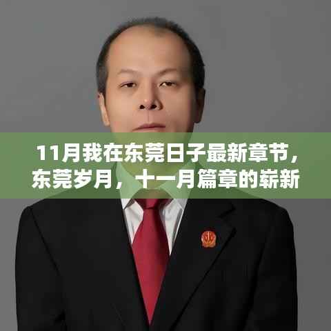 东莞十一月新篇章,岁月回响与日常更新