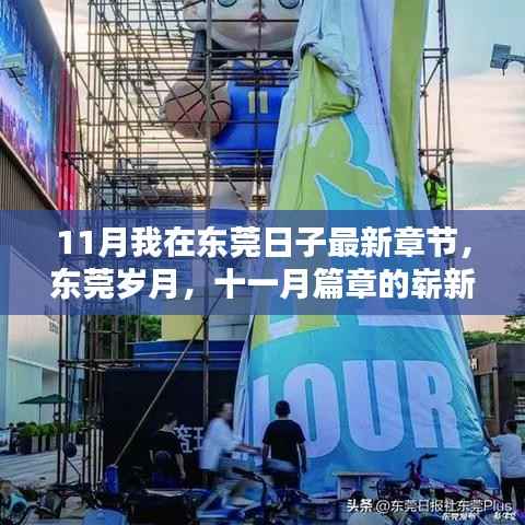东莞十一月新篇章,岁月回响与日常更新