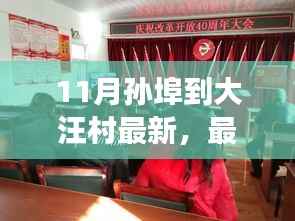 孙埠到大汪村最新变迁资讯,揭秘11月最新动态与历程