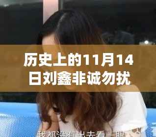 历史中的刘鑫非诚勿扰新篇章,探秘小巷深处的独特小店