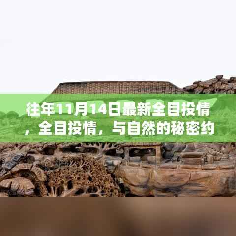 没精打采 第32页