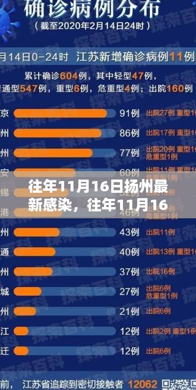 往年11月16日扬州最新感染情况及深度分析与个人观点