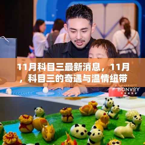 11月科目三最新动态,奇遇与温情纽带