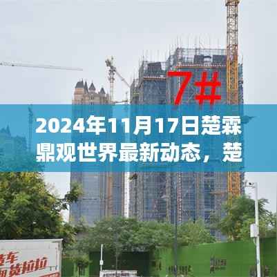 楚霖鼎观世界深度洞察,最新动态与趋势分析(2024年11月)