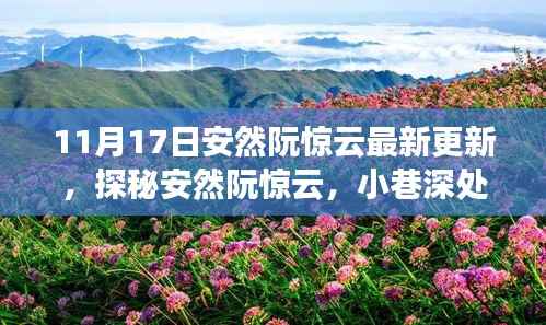 安然阮惊云最新探访笔记,小巷深处的独特风味揭秘