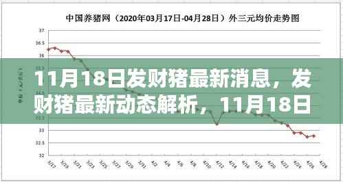 发财猪最新动态解析与指南,11月18日更新,初学者与进阶用户必读