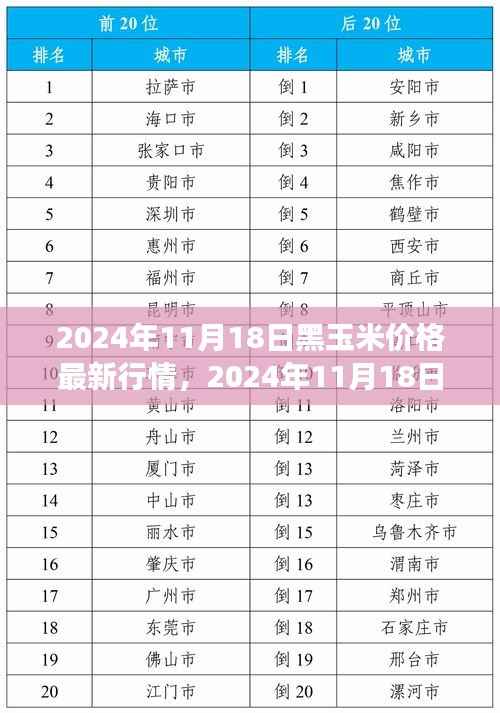 2024年11月18日黑玉米价格行情及市场走势分析与预测