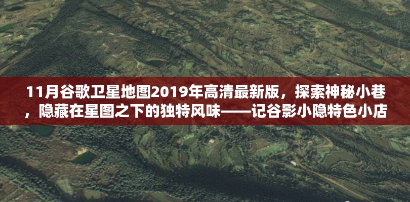 谷影小隐特色小店,探索神秘小巷,谷歌卫星地图高清探索之旅