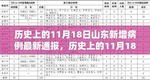 历史上的11月18日山东新增病例最新通报,深度分析与评估