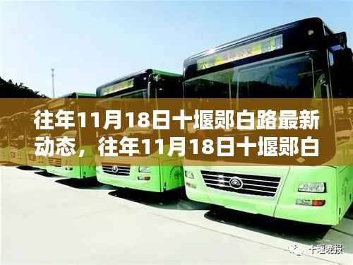 往年11月18日十堰郧白路最新动态,深度解析与观点阐述