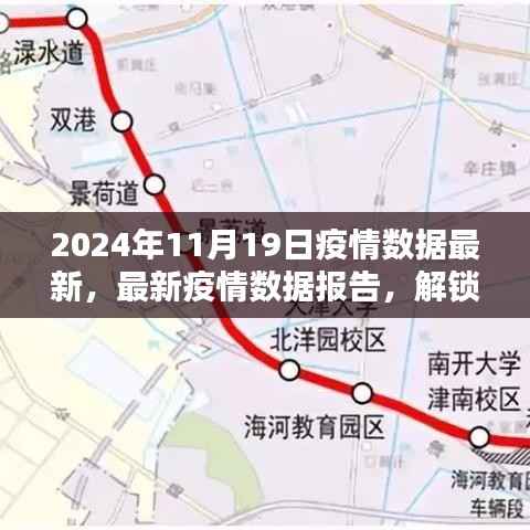 2024年11月19日全球疫情数据报告,最新数据揭示真实状况