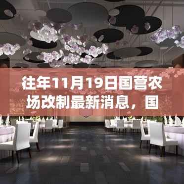 历年11月19日国营农场改制进展与深远影响,最新消息与历程回顾