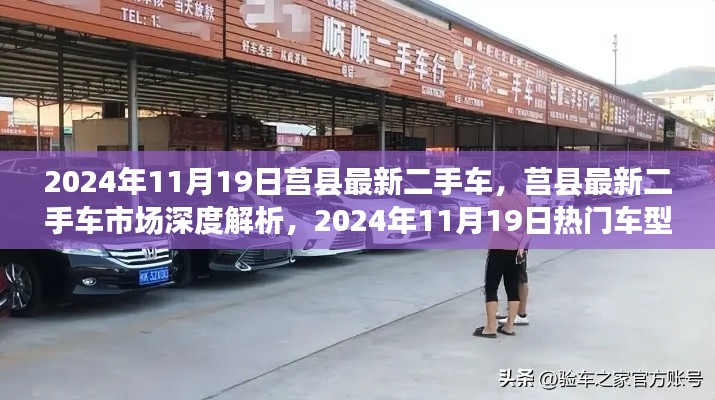 莒县最新二手车市场深度解析,热门车型评测与指南(2024年11月19日)