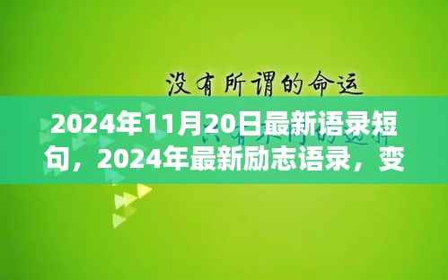变化中的学习,励志语录与自信成就感的魔法之旅(2024年11月最新更新)