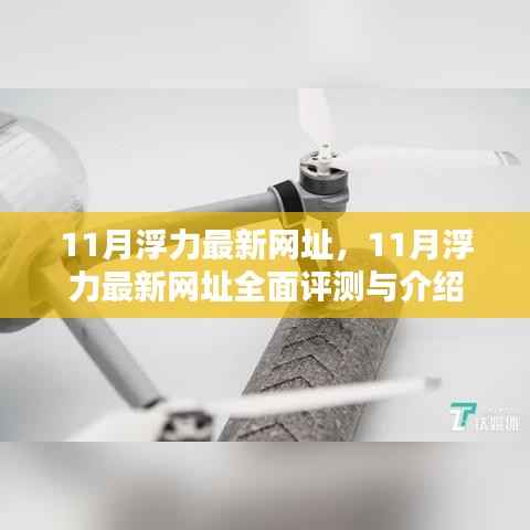 11月浮力最新网址全面评测与介绍,最新资源一网打尽