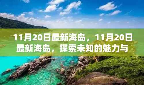 探索未知魅力与独特风情,最新海岛探险之旅(11月20日)