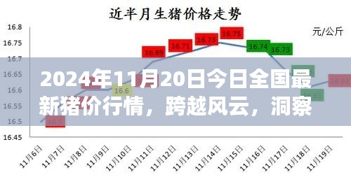 跨越风云的猪价行情,2024年最新猪价行情分析与未来洞察