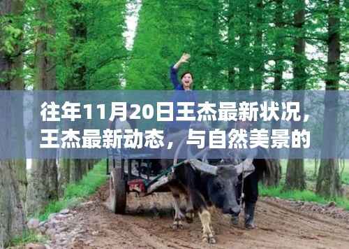 王杰最新动态,与自然美景的邂逅及内心宁静之旅揭秘